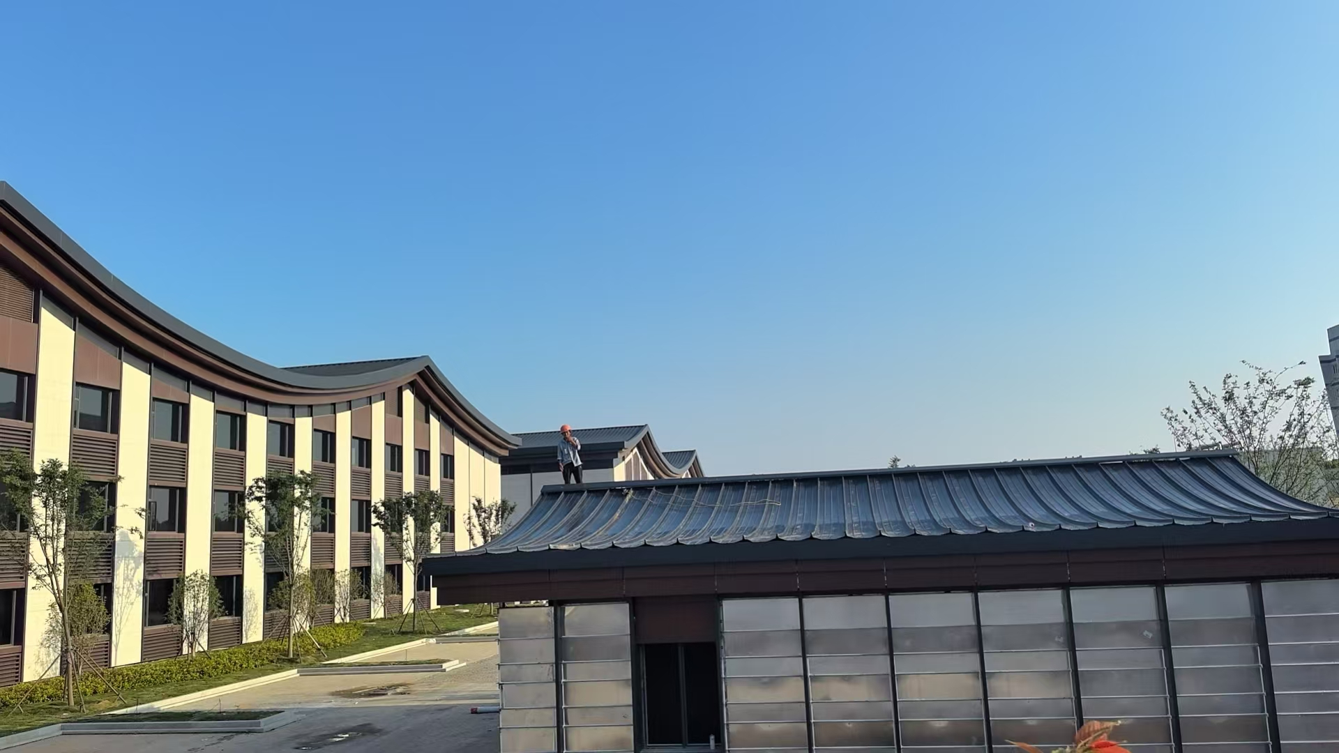双沟酒厂项目